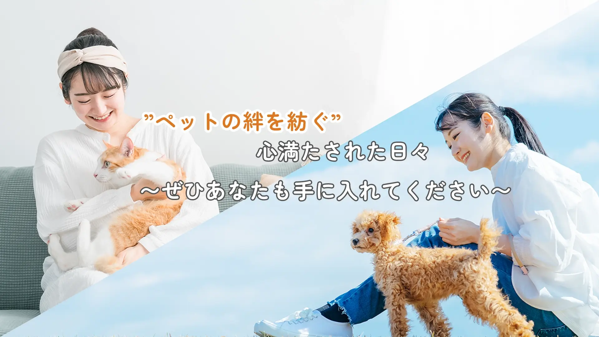 ”ペットの絆を紡ぐ” 心満たされた日々 〜ぜひあなたも手に入れてください〜