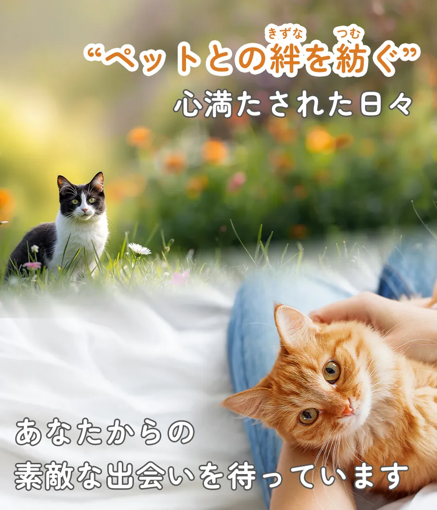 ”ペットの絆を紡ぐ” 心満たされた日々 〜ぜひあなたも手に入れてください〜