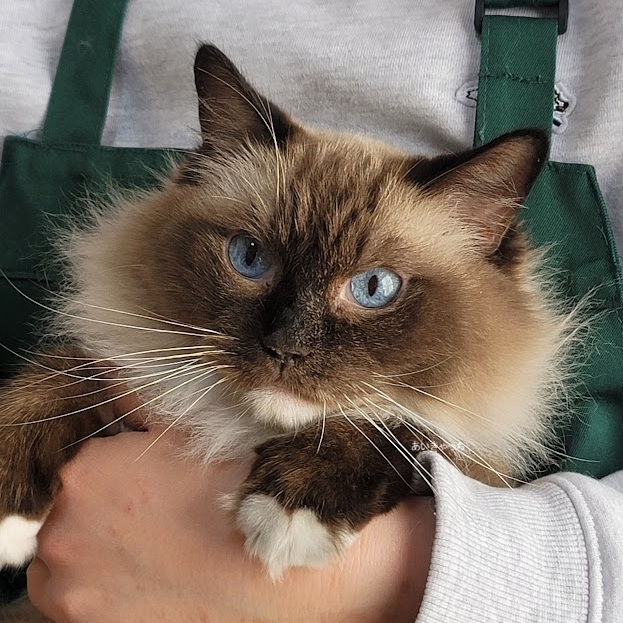 <br />
<b>Warning</b>:  Undefined variable $fos_name in <b>/home/hitodou/aicatch.net/public_html/wp-content/themes/mh-themeST/front-page.php</b> on line <b>78</b><br />
 あいきゃっち